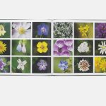 A double page spread from Hampstead Heath, London's Countryside, a completed book production project