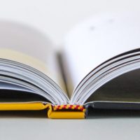 A photo of an open copy of The Red Squirrel: A future in the forest, one of my completed book production projects