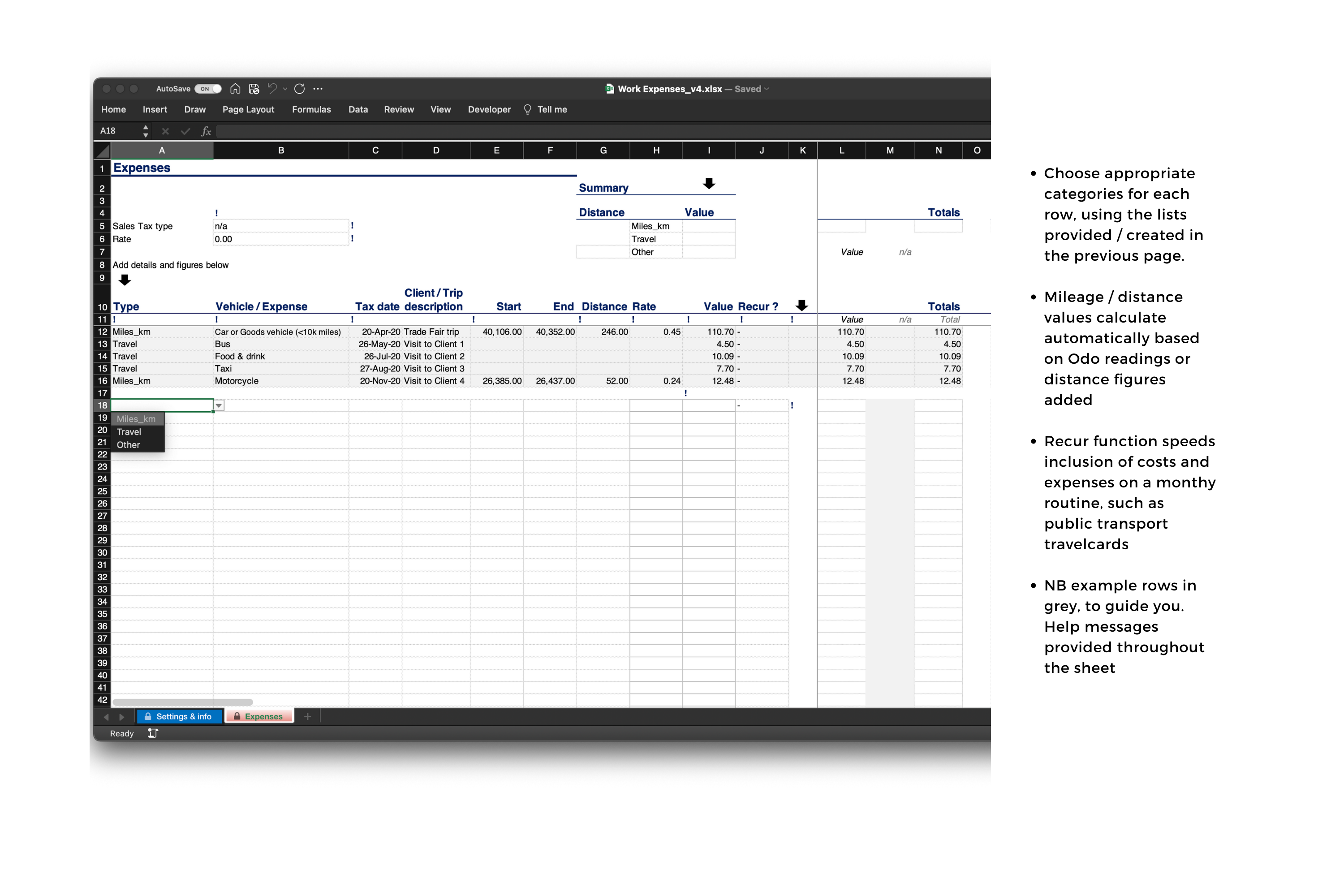 Visual of Expenses ledger spreadsheet